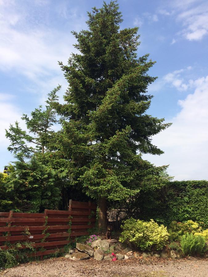 קריף Firtree Bed And Breakfast At Galvelbeg House מראה חיצוני תמונה